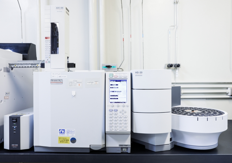 Gas chromatograph (GC)